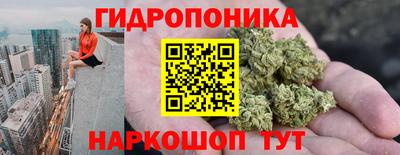 молекула духа Краснознаменск