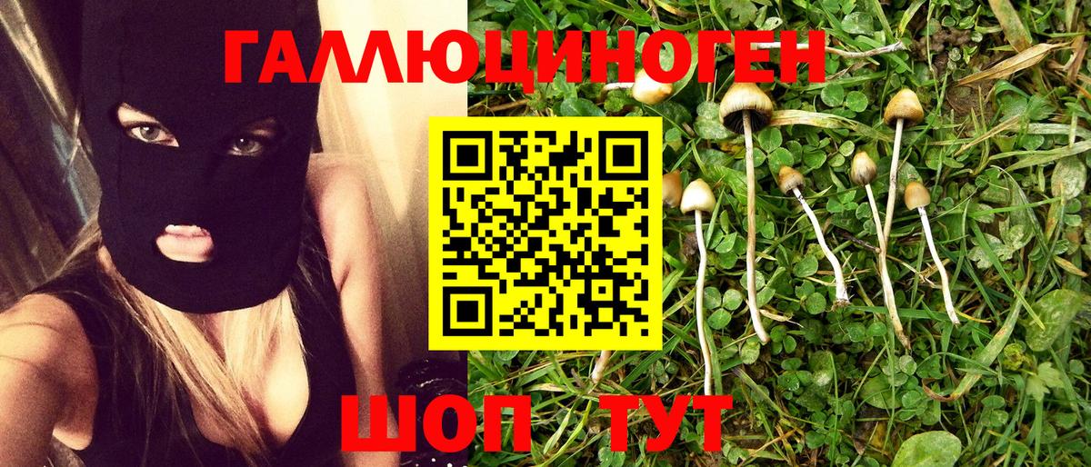 Псилоцибиновые грибы MAGIC MUSHROOMS  Псилоцибиновые грибы GOLDEN TEACHER  Будённовск  Вход с VPN 