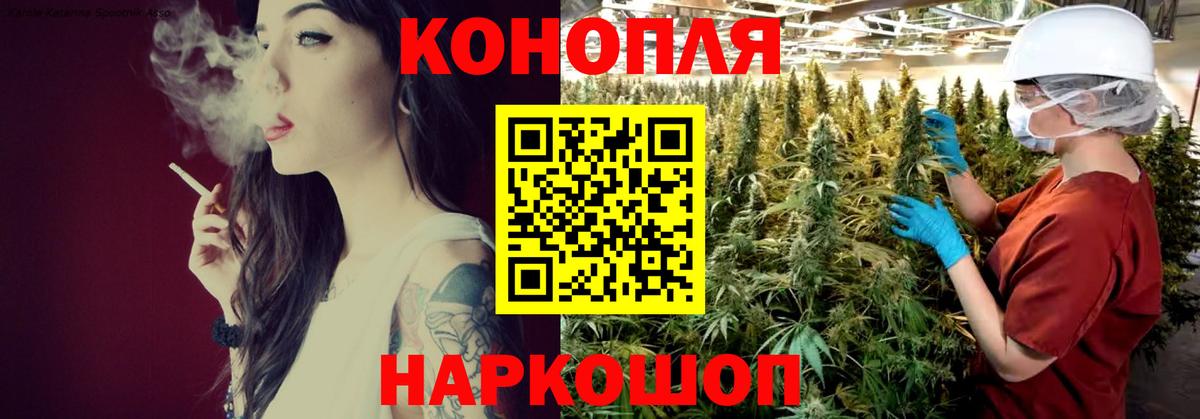 Бошки Шишки White Widow  Конопля гибрид  Вход с VPN  Будённовск 
